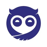 Sleepy Owl